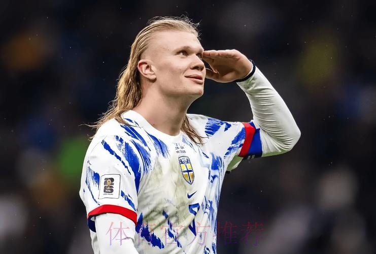 2026世界杯法国哈兰德赛事预测最新更新